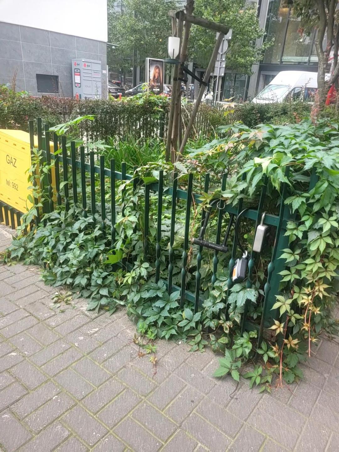 Apartament Centrum Chmielna Warschau Exterior foto